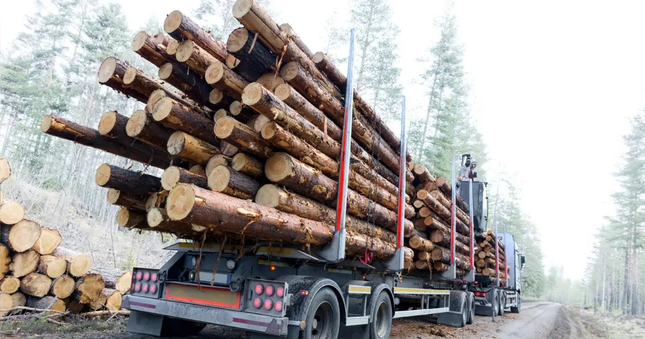 Heavy-duty springs and components for trailers