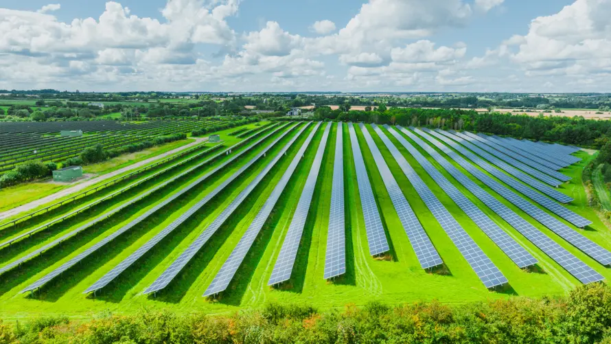 Solpaneler för produktion av förnybar energi